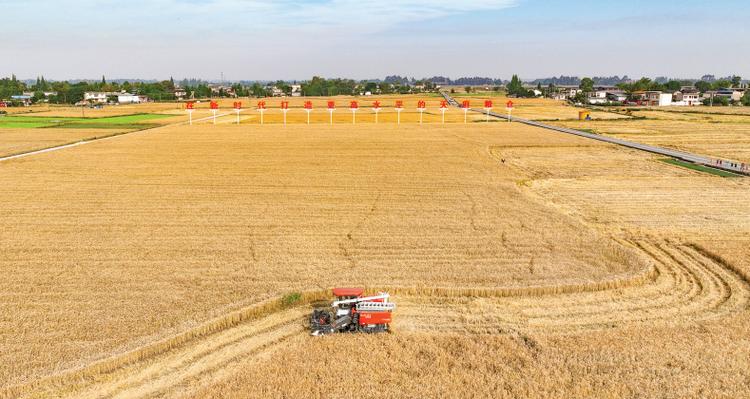 品牌和供应链通过Regenagri认证可以获得哪些优势