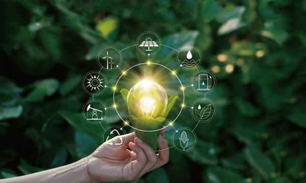 EcoVadis记分卡的优势 EcoVadis评估标准