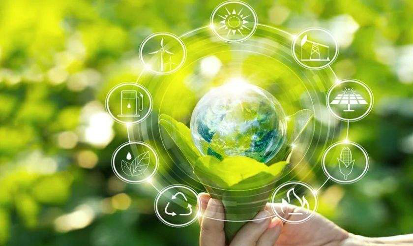 EcoVadis适用行业与品牌要求 EcoVadis评估勋章等级要求